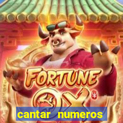 cantar numeros bingo online